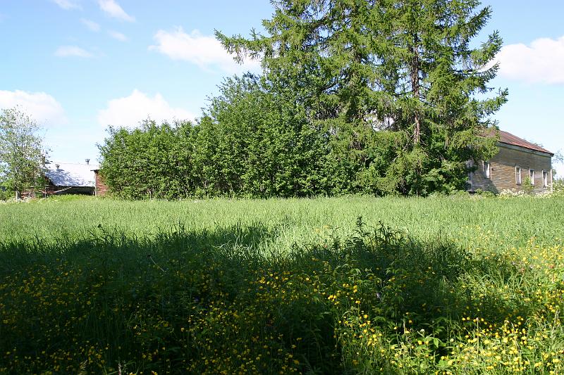 lehmila_juhannus_2005 023.jpg